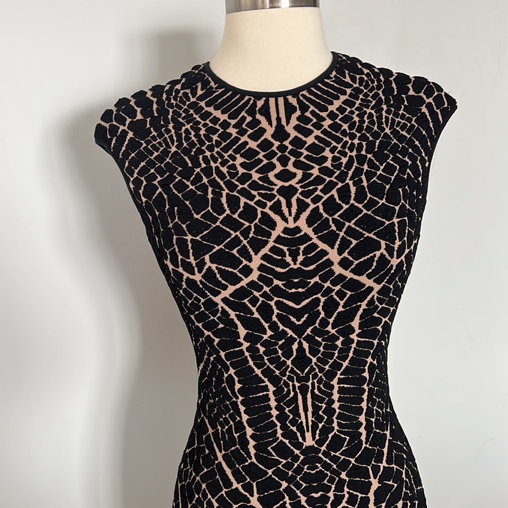 RVN Dress - Picture 2 of 5